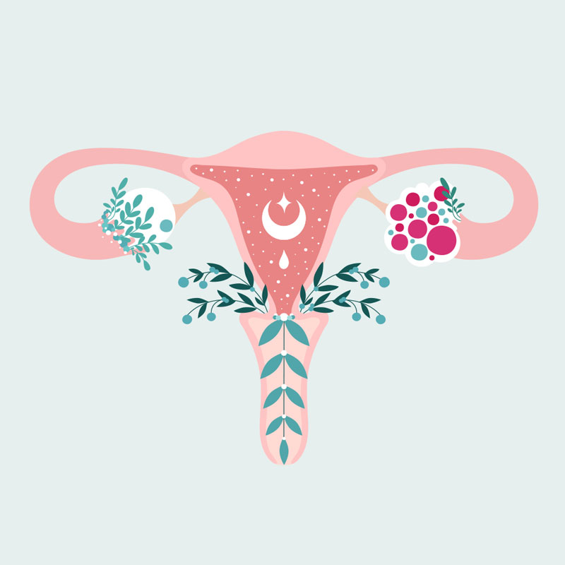 nourishing-life-fertility-flower-uterus-moon-drawing